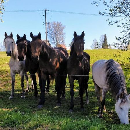 Eha Farmstay Rõuge Eksteriør billede