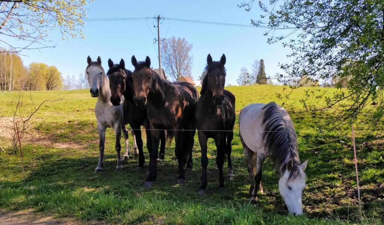 Eha Farmstay Rõuge Eksteriør billede